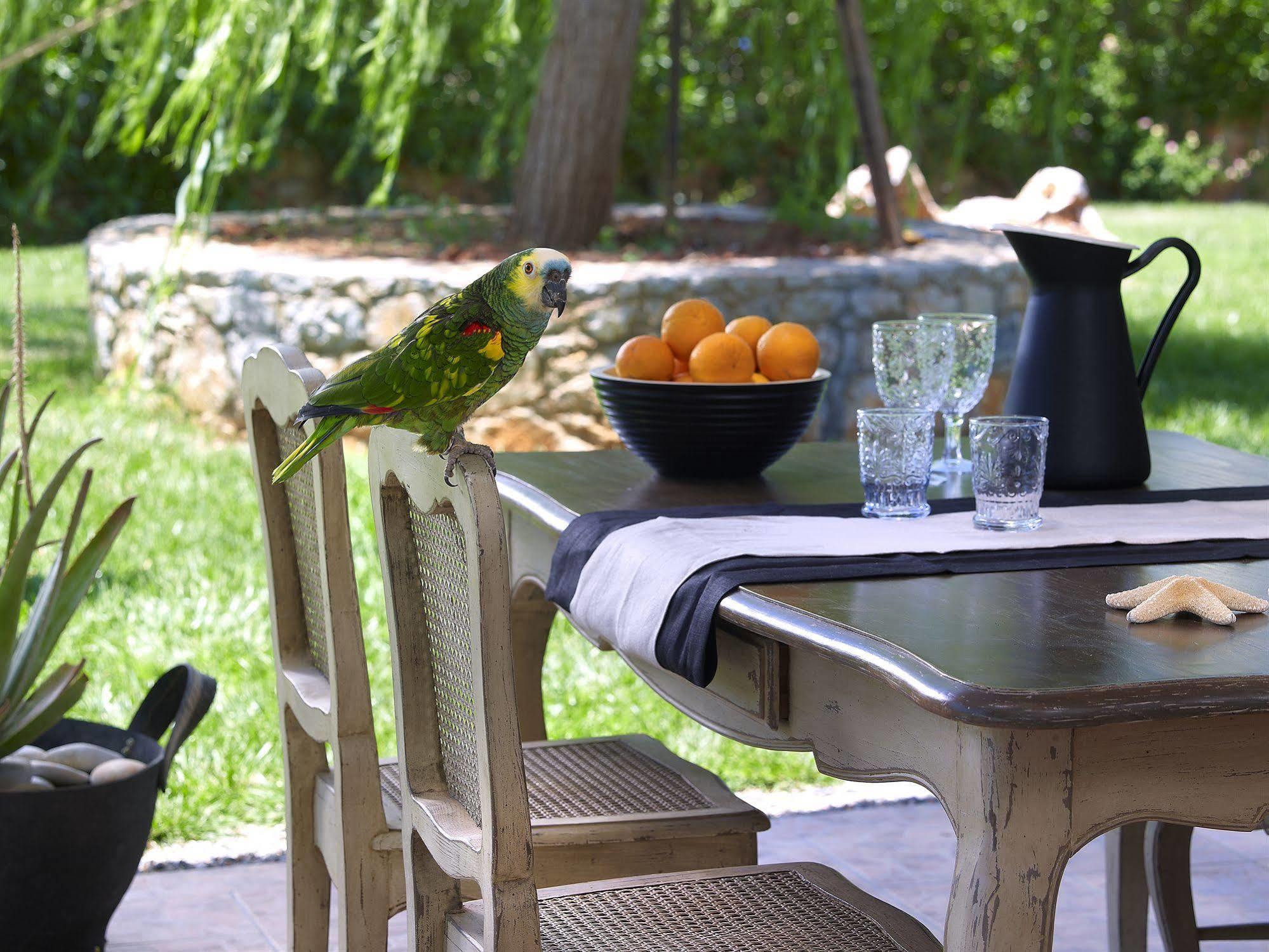 Sunvillage Malia Boutique Hotel And Suites Exterior foto